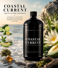 Load image into Gallery viewer, Luxury Liquid Detergent
